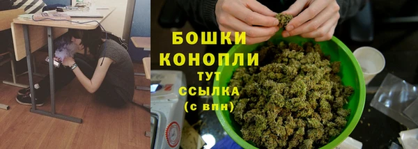 Альфа ПВП Ельня