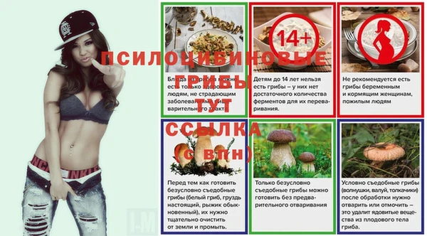 эйфоретик Армянск