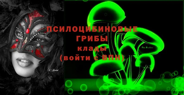 тгк Аркадак