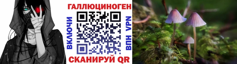 Псилоцибиновые грибы мицелий  закладки  Новосиль 